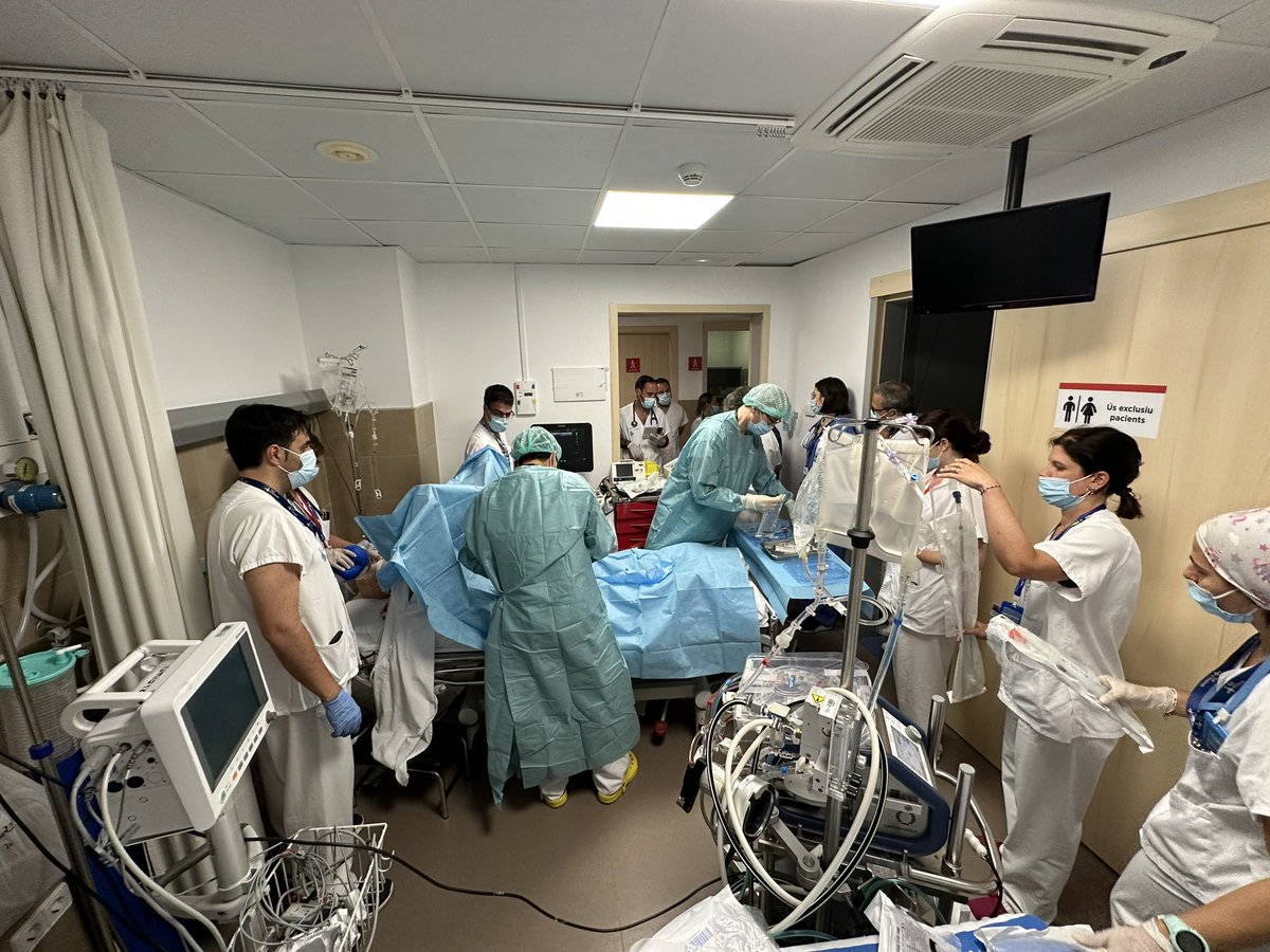 Eduard Argudo tweet media