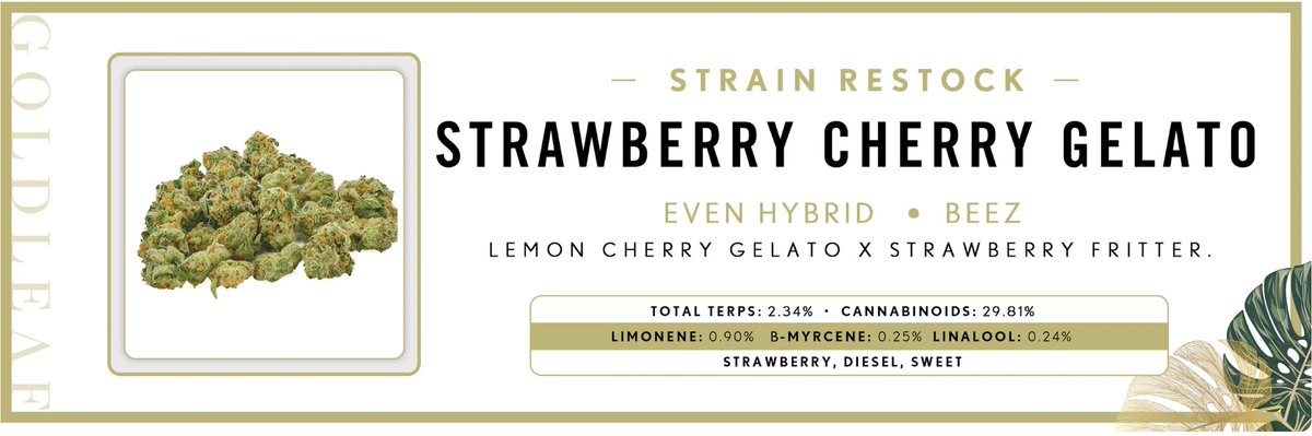 GOLDLEAF tweet media