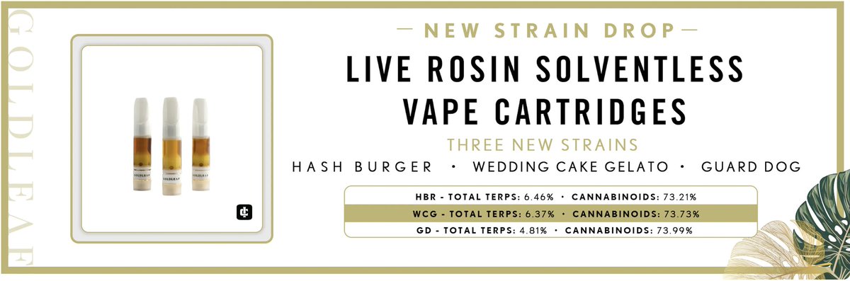 GOLDLEAF tweet media