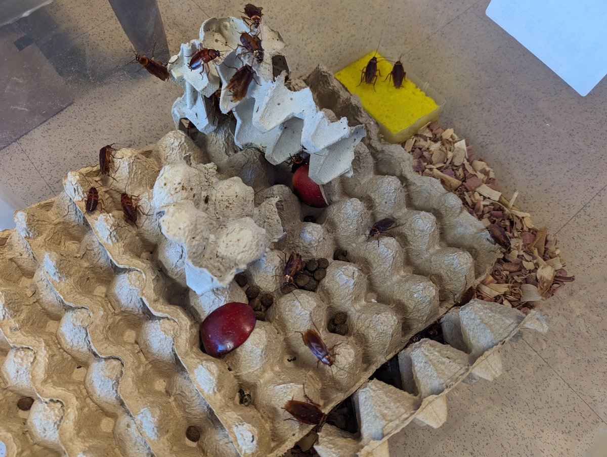 Welcome to our newest lab members!