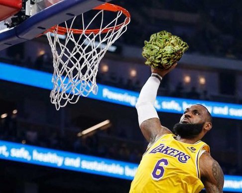 Elparaguayo1231's tweet photo. 🏀 La NBA elimina oficialmente a la marihuana de la lista de sustancias prohibidas de la liga, fue un acuerdo en conjunto con la NBPA (Asociación Nacional de Jugadores de Baloncesto).

📈 También establecen reglas que les permite a los jugadores invertir y promover en marcas de cannabis.

⛹️ Esperemos que más deportes tomen está iniciativa y siga avanzado nuestro mundo.