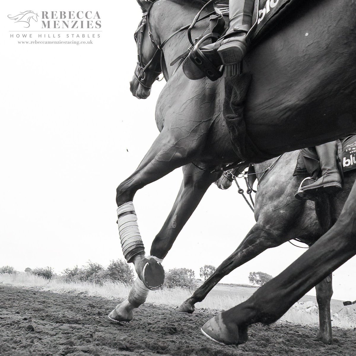 RebeccaEMenzies's tweet photo. Striding into the weekend #blackandwhitephotography #monochromephotography #striding #rebeccamenziesracing #teammenzies #stablelife #horse #racehorse #racehorsephotography #horsetraining #jockey #gallop #horselove #horserider #horseriding https://t.co/FB6jPcsfuR