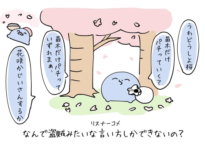 #い・らくすと 桜と盗賊🌸 