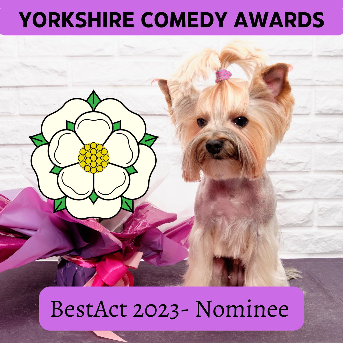 I am very flattered to have been nominated in the Best Act category of the Yorkshire Comedy Awards.

Fingers crossed that I can get a prize.

#comedyawards #standupcomedy #fillyerboots  #edfringe #yorkshirecomedyawards #roadcomedian