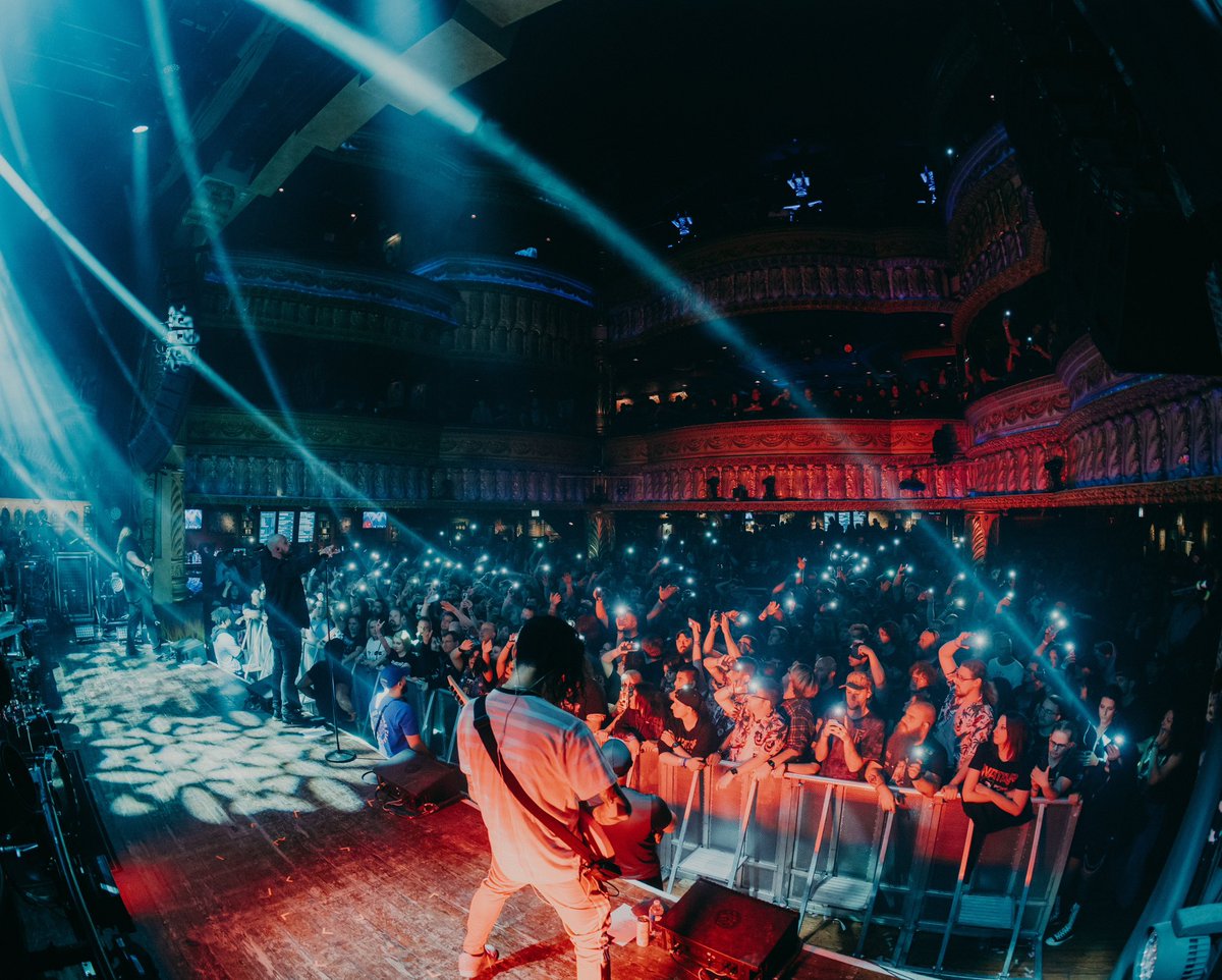 VEIL OF MAYA tweet media