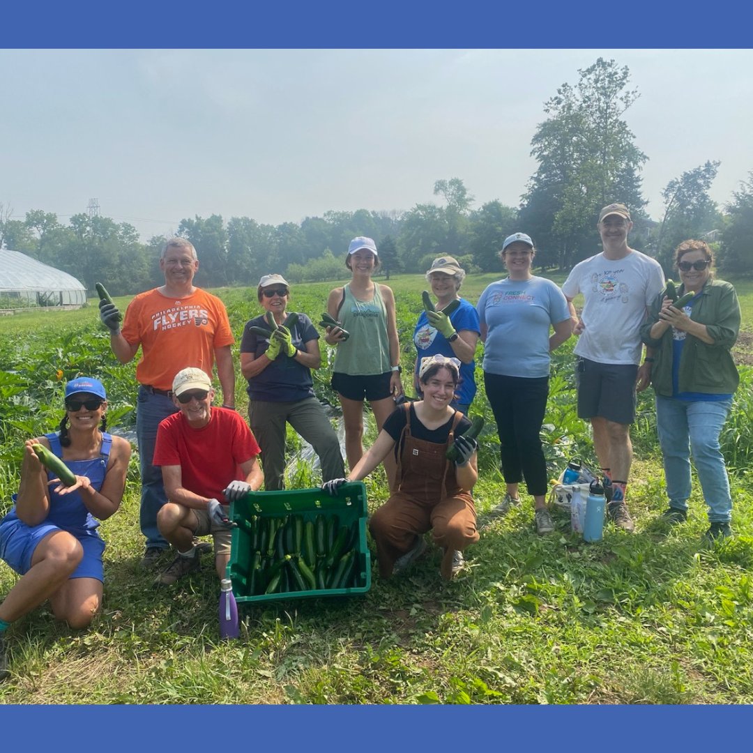 BCOpportunity's tweet photo. This week, the food team visited @rollingharvest’s farm, Gravity Hill. We grew our #communitypartnership and gleaned produce for #FreshConnectBucks! 🥒🧅 Thank you to Rolling Harvest for having us! https://t.co/m1XPt9N34O
