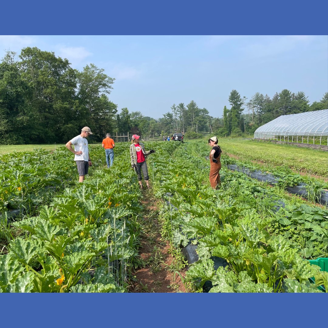 This week, the food team visited <a href="/rollingharvest/">Rolling Harvest Food</a>’s farm, Gravity Hill. We grew our #communitypartnership and gleaned produce for #FreshConnectBucks! 🥒🧅 Thank you to Rolling Harvest for having us!