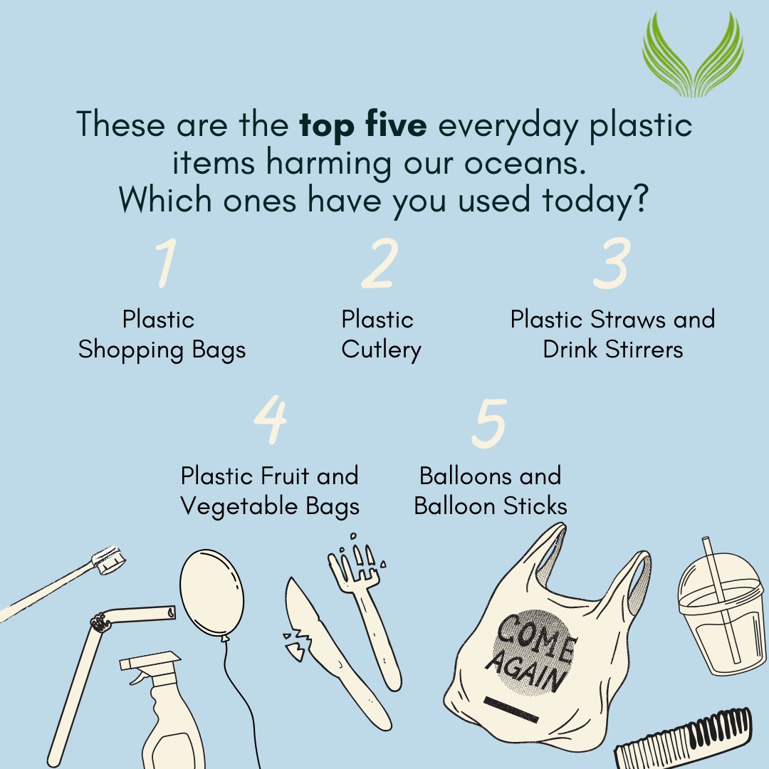 Why should we care about the oceans?
How about the oceans produce over half of the world's oxygen. 

#surfriderfoundation #TheOceanCleanup #oceana #OceanConservancy #Climate #ClimateChange #Nature #Environment #GlobalWarming #ClimateCrisis #ClimateAction #Sustainability #Earth...