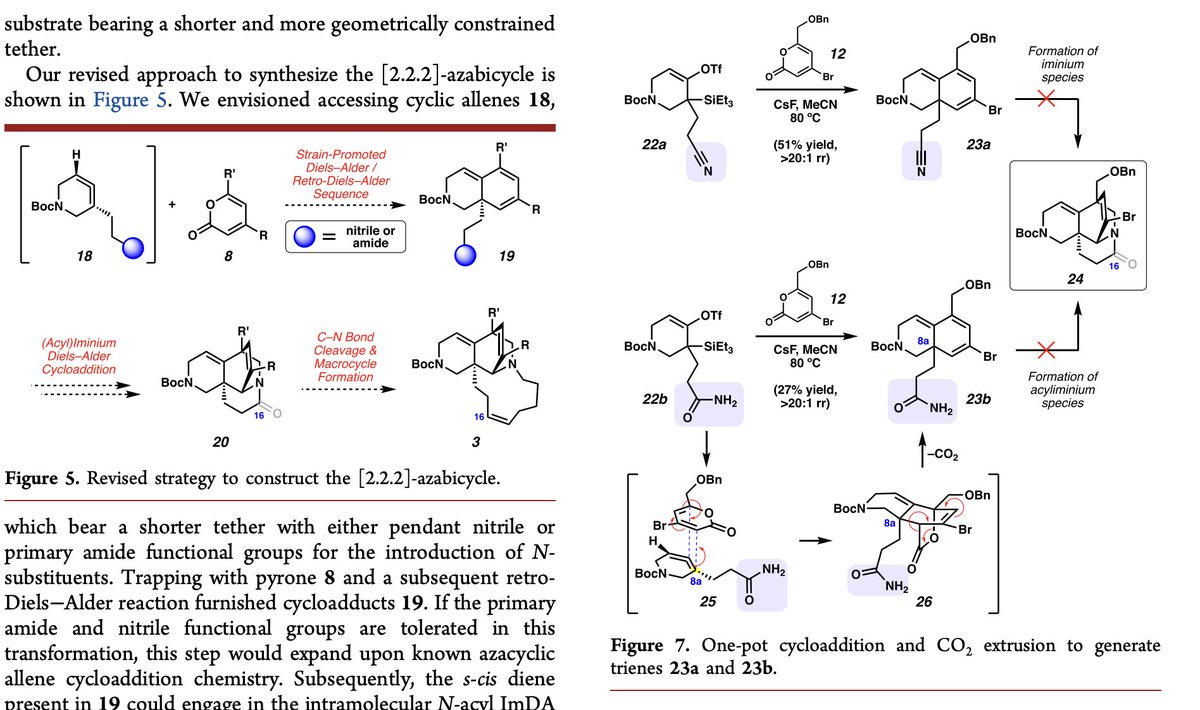 Total Synthesis tweet media