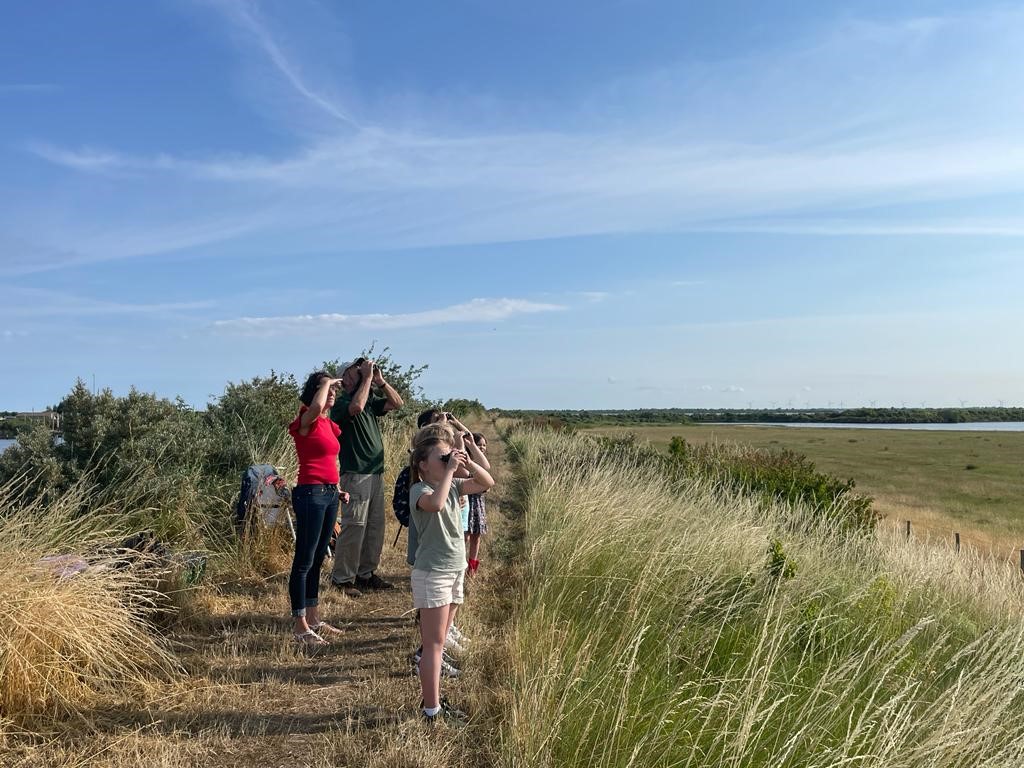 IVNZeeland's tweet photo. Wat een heerlijke dag voor de Grevelingen Buitenlesdag vandaag🤩 ! Zoeken naar wieren, vogels kijken en nog veel meer stond op het programma in de haven van Bommenede. 'Het is superleuk, net een tweede schoolreisje', aldus een van de leerlingen 🐦🐟🌱 https://t.co/OfK1VZL8i0