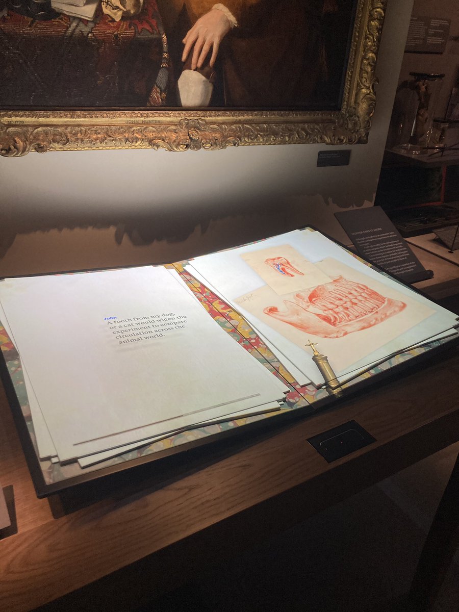 Some really great, sophisticated and beautiful digital interpretation <a href="/HunterianLondon/">Hunterian Museum London</a> 🙌🥱😴💤