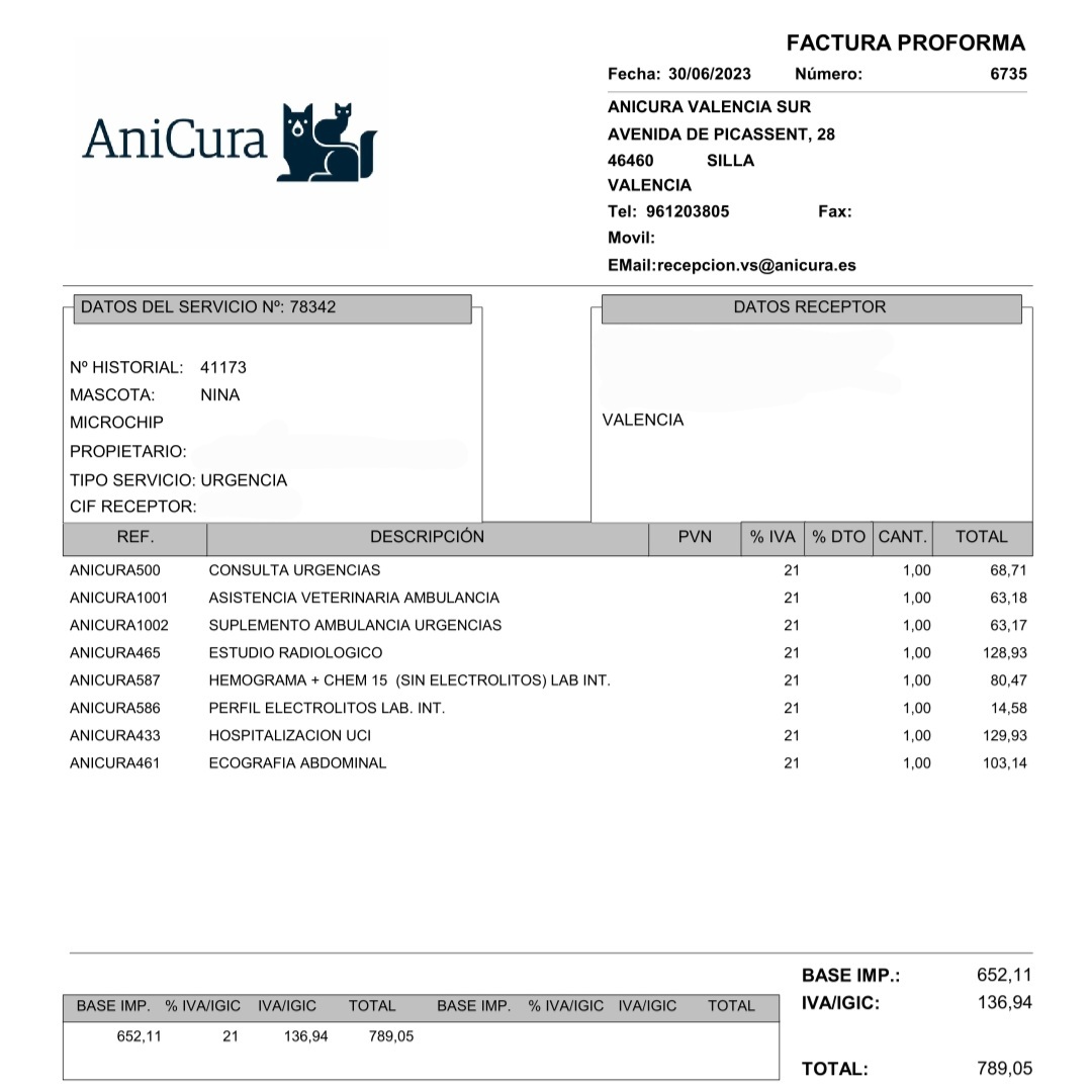 Hola a todos, esta mañana Nina, una de mis gatas se ha caído por el balcón y tiene múltiples fracturas en 3 patas, mandíbula dislocada y algunos daños internos. Nunca he hecho esto pero los gastos son muy altos. Sería de gran ayuda si pudierais hechar una patita con alguna +