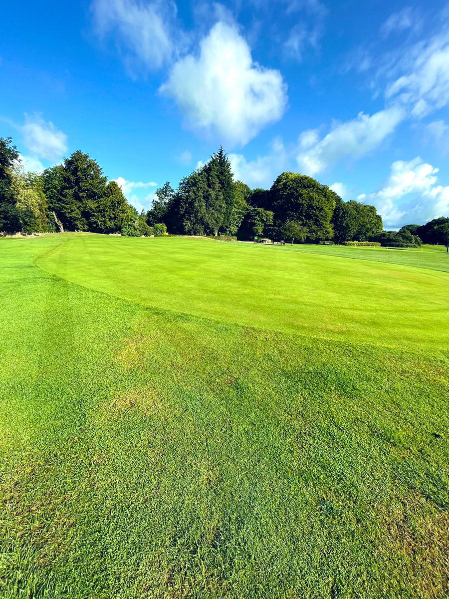 GolfDuxbury's tweet photo. Not ideal to end the week with heavy rain! Another great week 🙌🏻
Greens verti-cut 3mm below double pass, double cut 👌 Applied @terralift Rocastem. Ready for TX10 #blackgold

Our new top dresser arrived 🤩🤩
@ParkwoodLeisure @glendaleuk @CampeyTurfCare @REVDAKOTA https://t.co/p9UVevP6t9