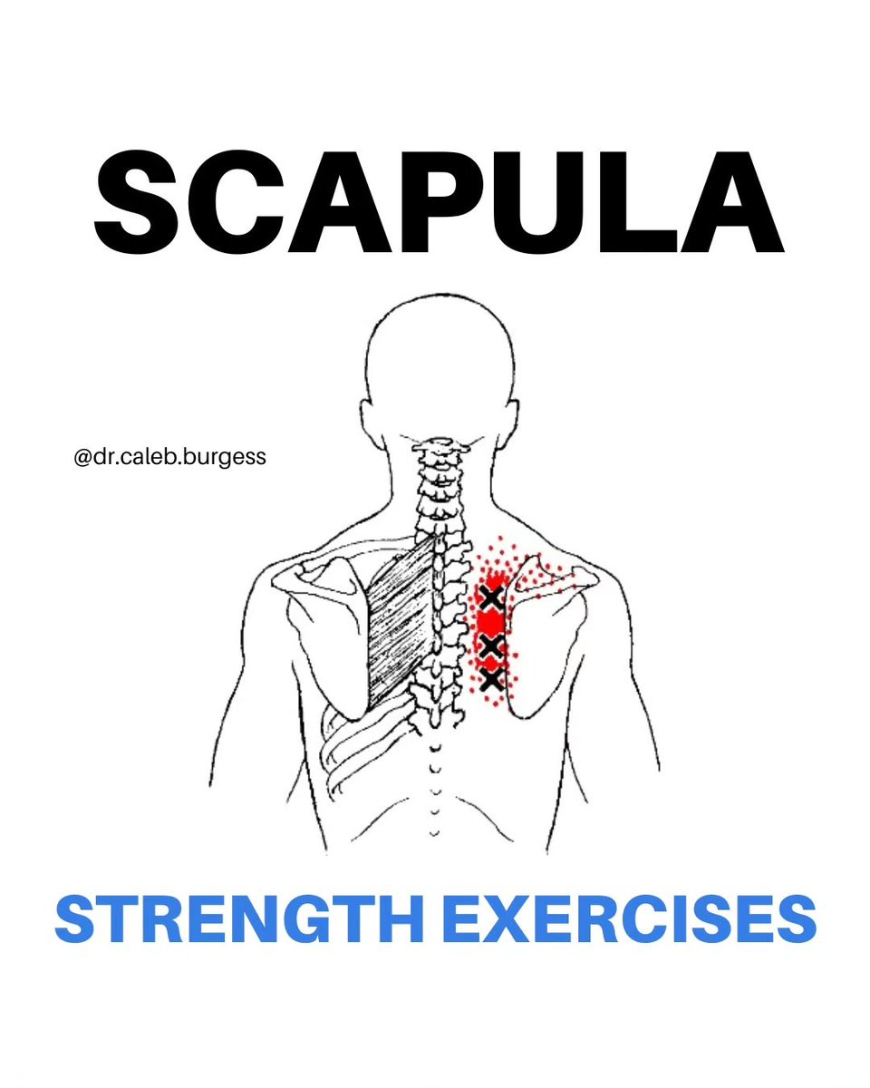 The_Life_Pad's tweet photo. Struggling with shoulder, neck, or upper back pain? Open this; https://t.co/b7V6AoTOeq