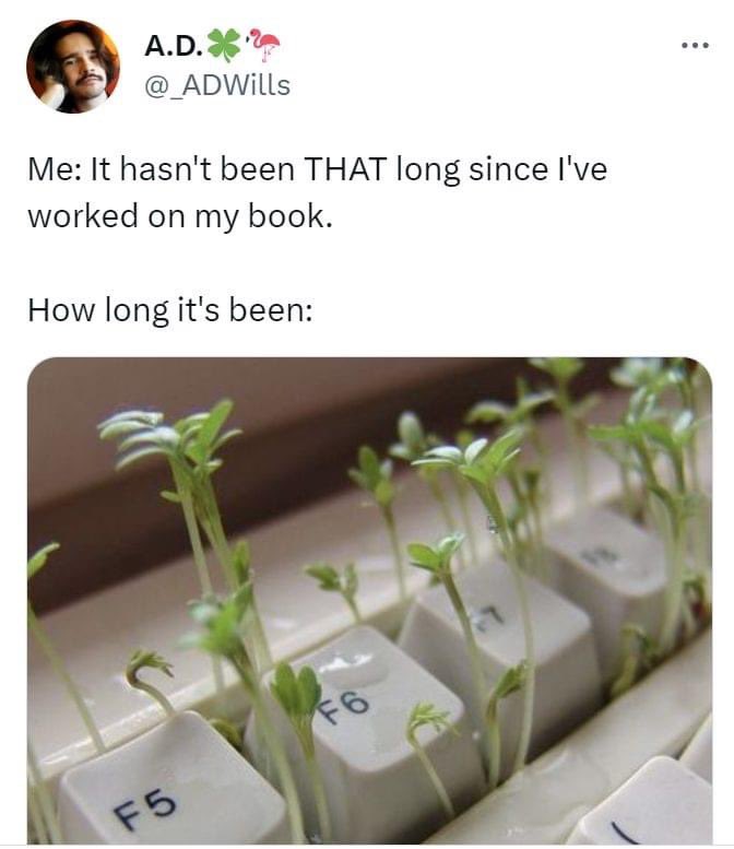 Amber Shehan (@anchasta) on Twitter photo 