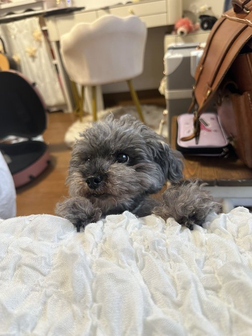 Twitterのコスプレ画像2