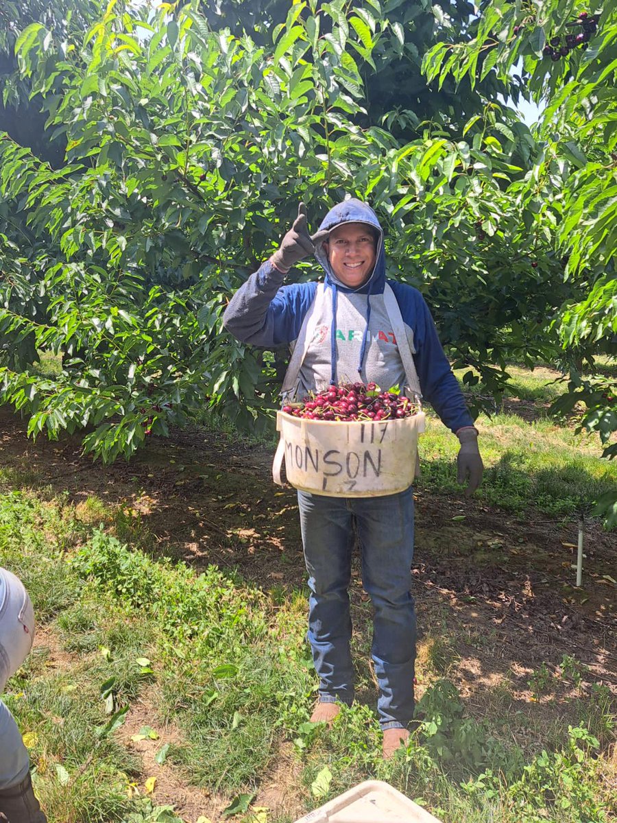 United Farm Workers tweet media
