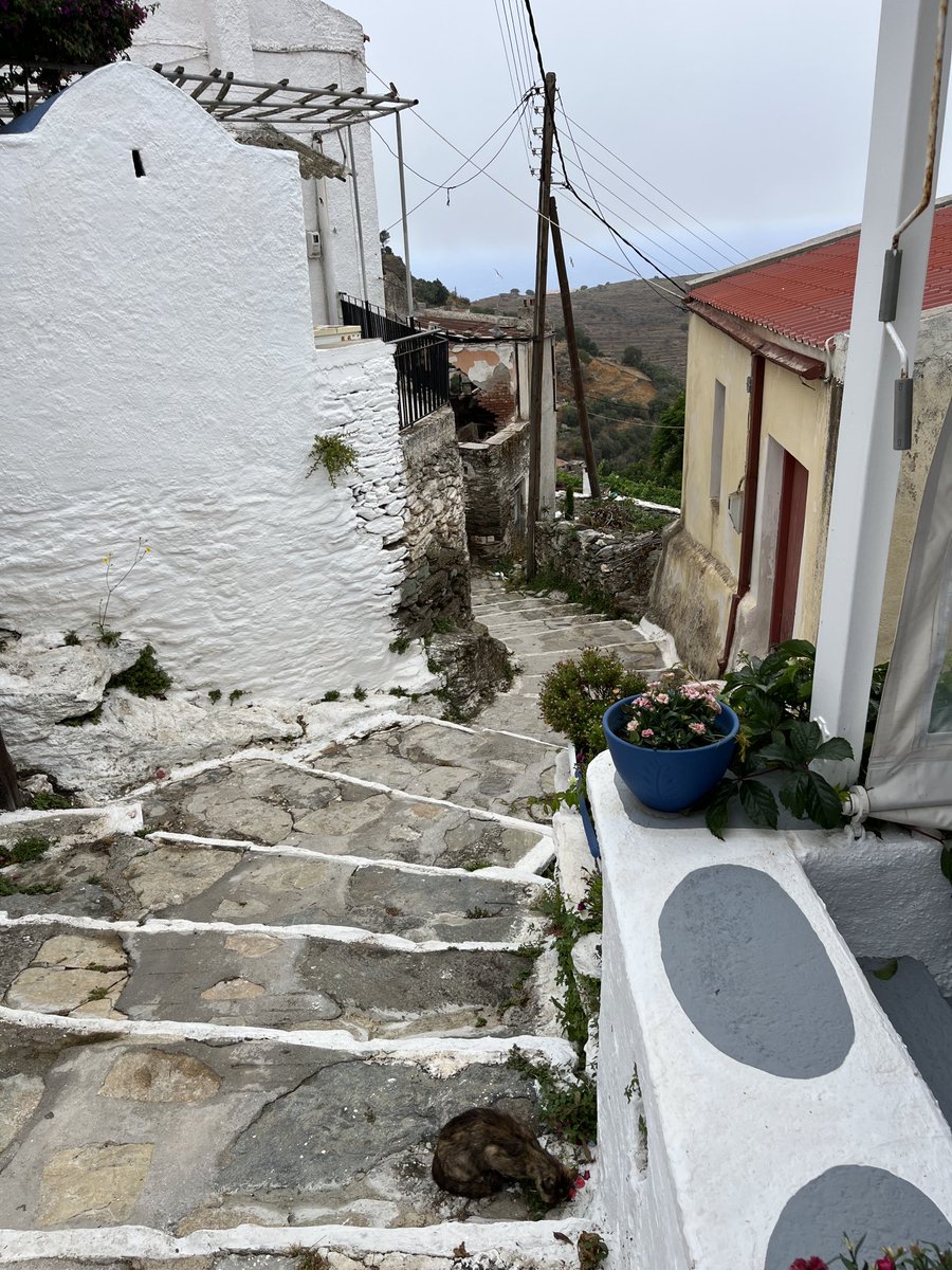 EBasilion's tweet image. The reason people in Greek villages live forever.