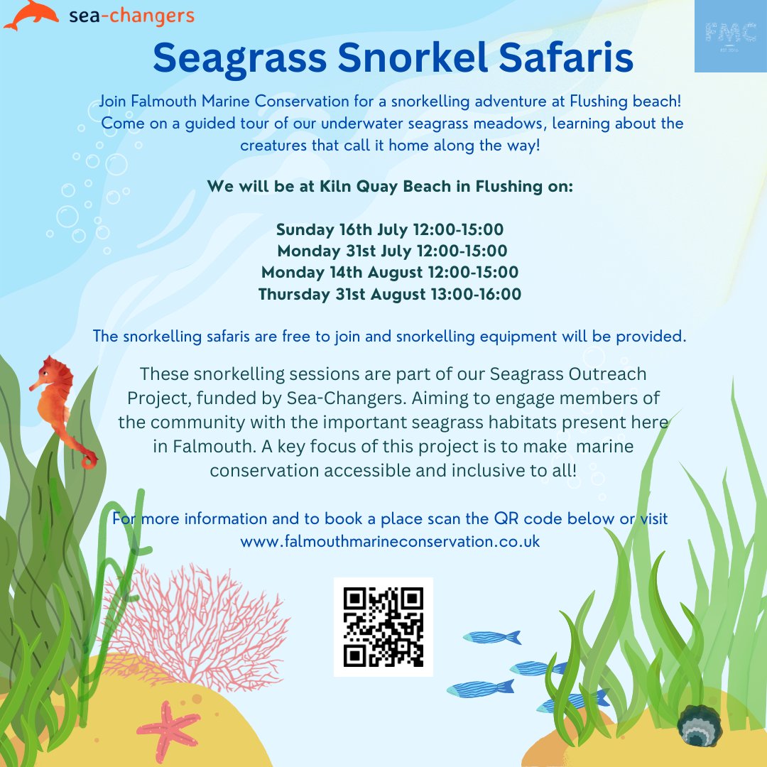 Do you want to learn more about seagrass?

Would you like to see this beautiful and important habitat for yourself?

Join Falmouth Marine Conservation for a snorkelling safari at Flushing Beach!