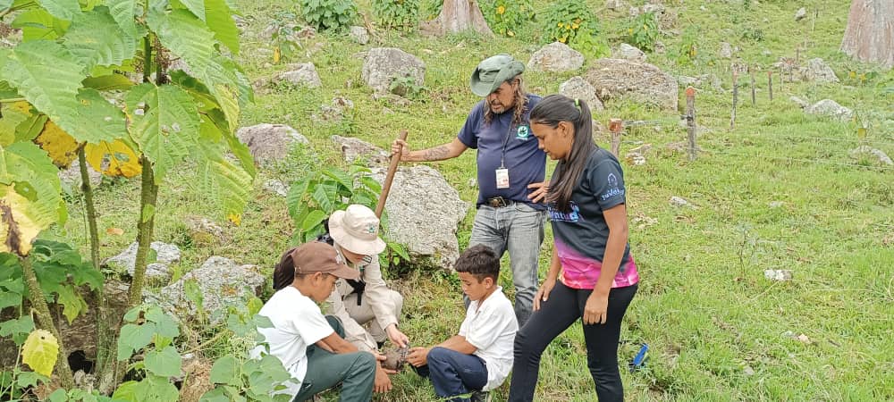 FAO_Venezuela's tweet photo. ENTÉRATE Como parte de las estrategias del proyecto #PaisajesAndinosVe, @FAO_Venezuela junto a instituciones del Estado, académicas y la comunidad, realizó jornada de reforestación de 691 especies forestales🌲 y frutales🍒 en Mérida, para la restauración de áreas productivas. https://t.co/wsQcDo0GPy
