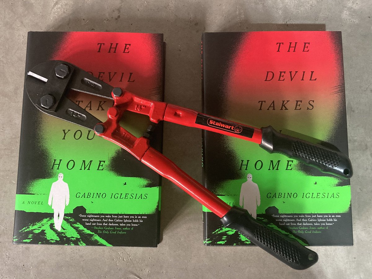 It’s #FridayReads time! Today we help everyone, boost all signals, and put books in front of readers. RT this and let us know what to RT for you. This tiny monster is still flying high after getting a Stoker and a Shirley Jackson Award nomination. Dig it!
amazon.com/gp/aw/d/031642…