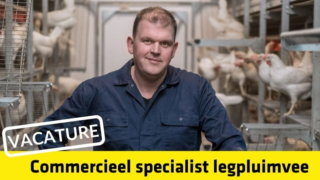 📢 𝗩𝗔𝗖𝗔𝗧𝗨𝗥𝗘: In deze uitdagende tijd vinden wij het nog belangrijker om er te zijn voor de Nederlandse pluimveehouder. Heb jij het in je om samen met de pluimveehouder het beste uit zijn bedrijf te halen? Solliciteer dan nu 👉  bit.ly/3bN0RmC