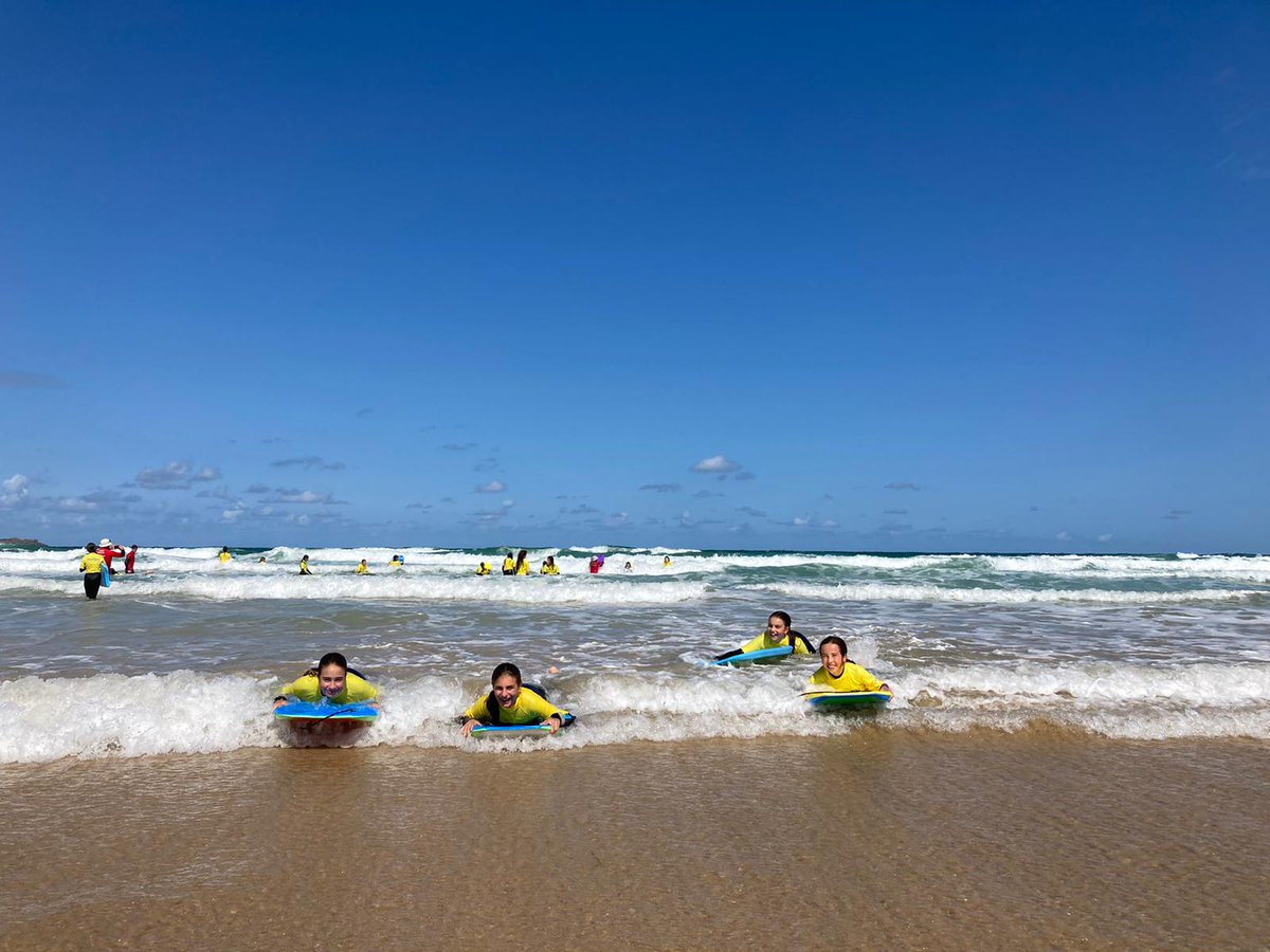 Francis Holland tweet media