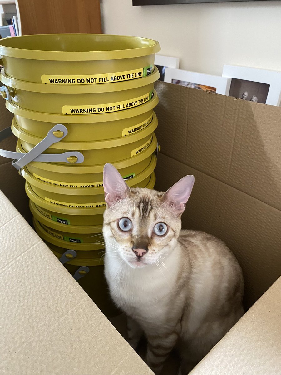 I ordered 1 sharps bin. I received 10 sharps bins plus a cat 😂🤭 #homedialysis #anyoneneedasharpsbin