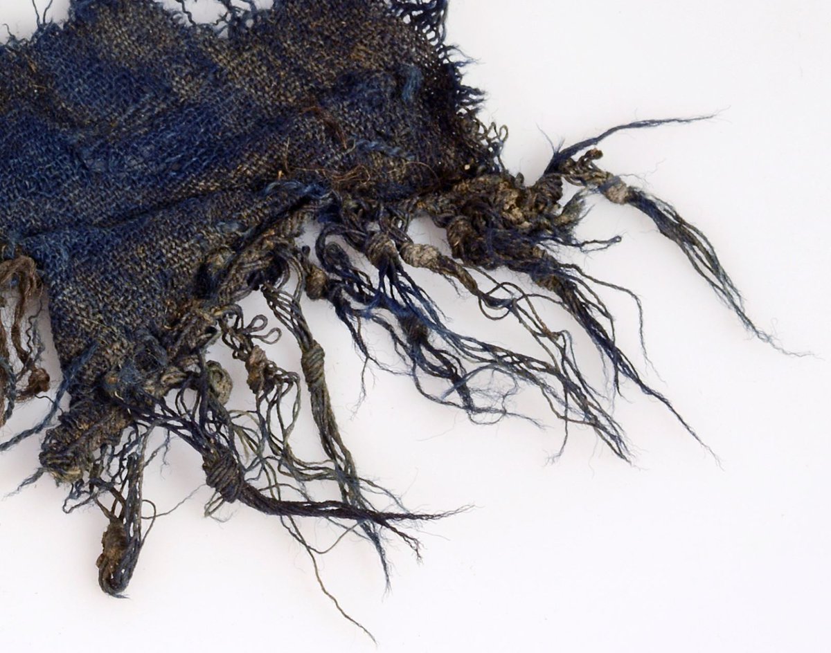 brearkeologi's tweet image. This piece of Viking Age cloth from the Lendbreen pass has some of the original blue colour preserved. And even better: One of the edges has preserved knotted tassels. This is a very rare detail  on Viking Age textile, and the only example from our melting mountain ice.