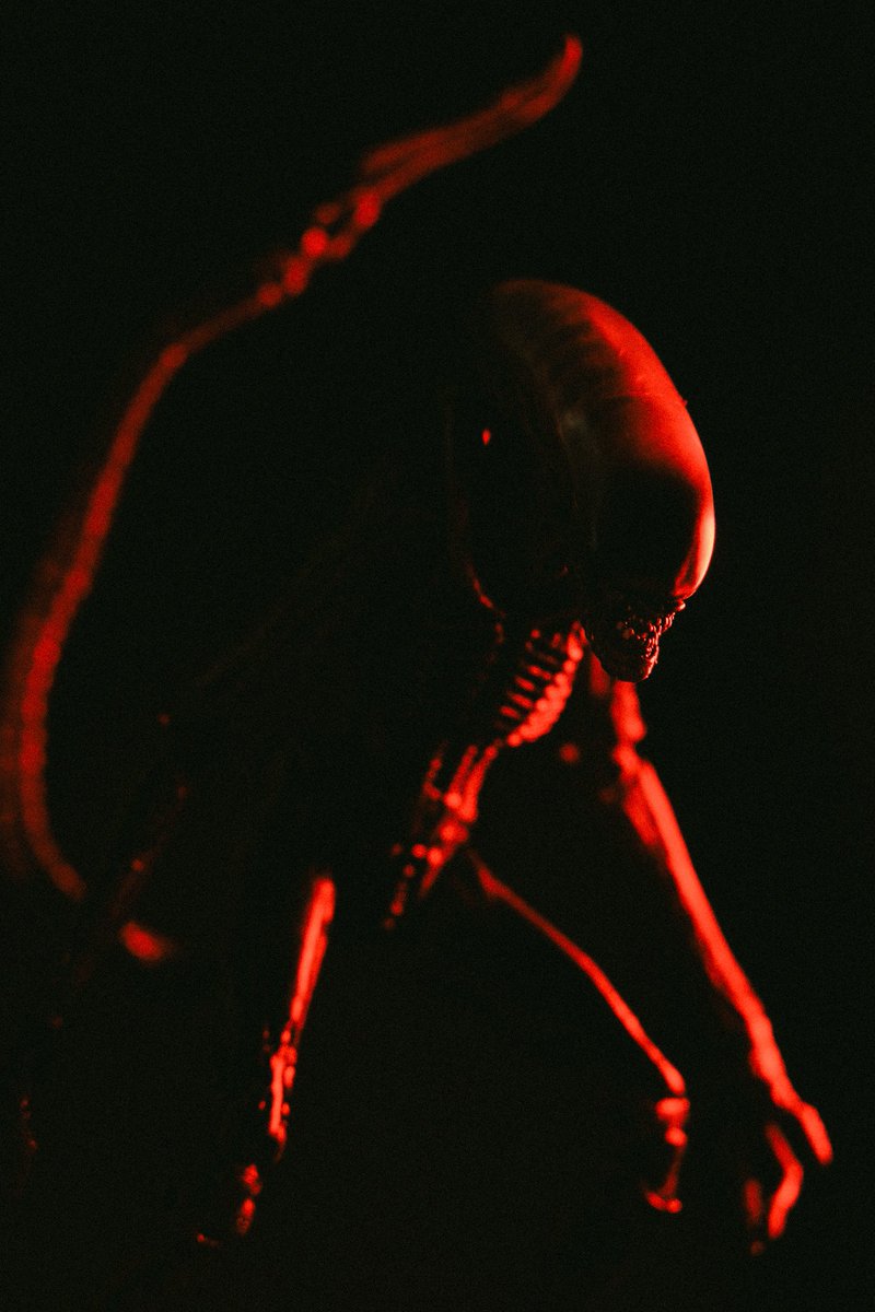 _ghostmayer's tweet photo. Red death
•
•
•
#alien #alien3 #dogalien #xenomorph #neca #necatoys #scifi #horror #toyphotography #actionfigurephotography #fujifilm #myfujifilmlegacy #fujifilmglobal #fujifilmxseries https://t.co/YnhcLhnJcj