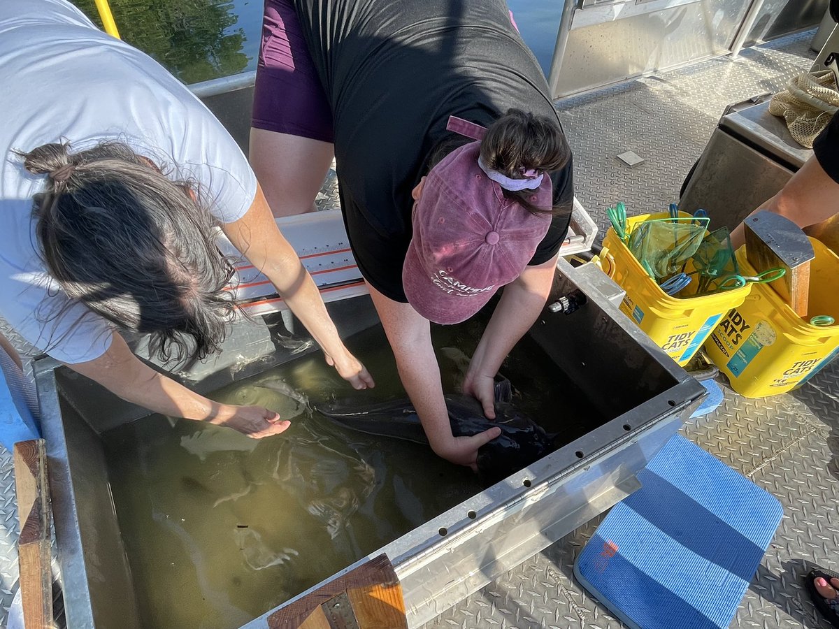 berry_fishy10's tweet photo. The “A” team is really on their game this morning @MJVanni check out this channel catfish we got! 🤯
#GetTheFish! https://t.co/2XKhAb2S00