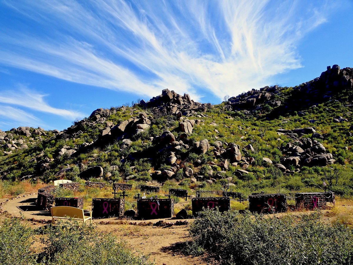 Roger Naylor tweet media