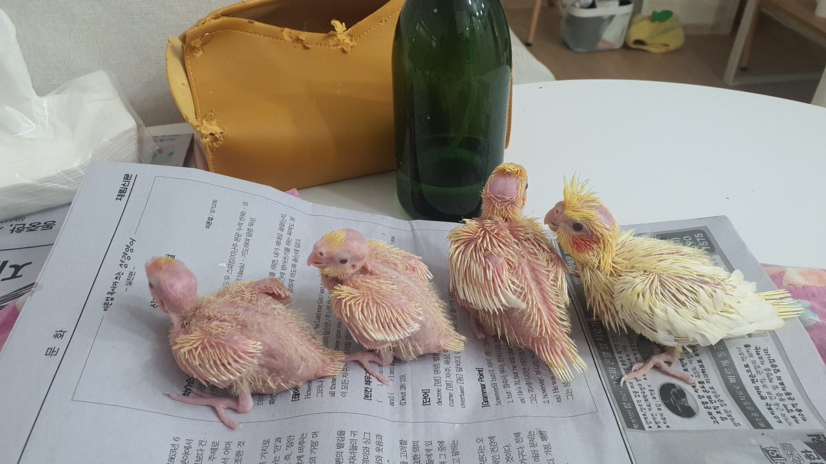 오늘 이소했습니다.
4321  하루하루