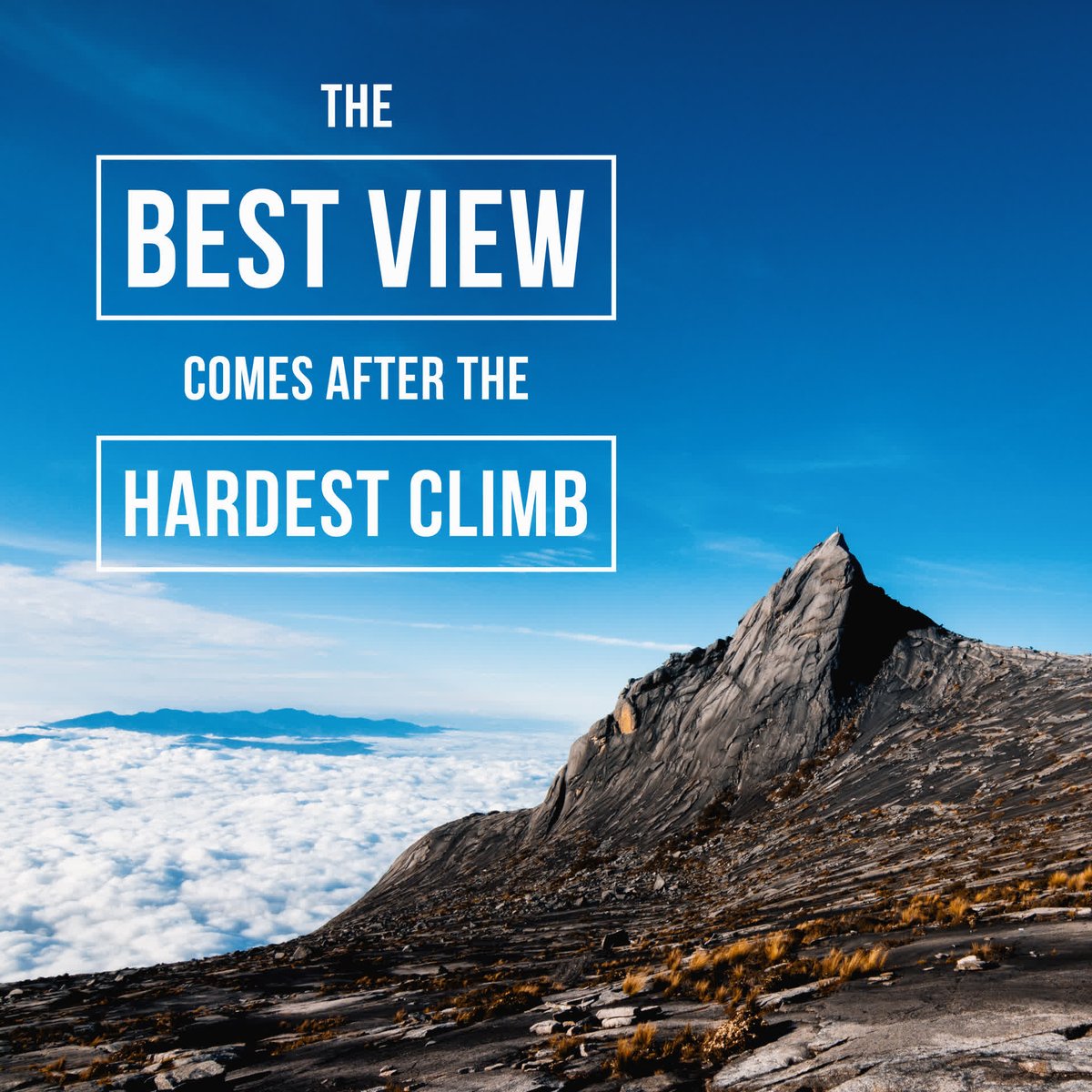 phinixcoffecafe's tweet photo. What is life? It's a crazy ride filled with ups and downs, but all worth it in the end. So, take a chance and enjoy the journey.

#life #journey #experience #explore #motivation #inspiration https://t.co/Z6y4TJTvcQ