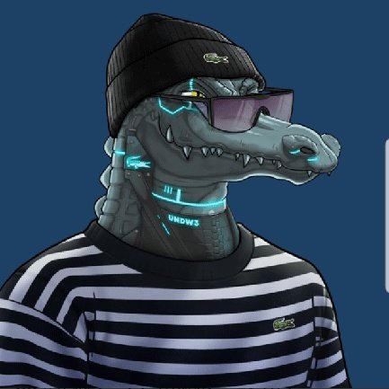 Fv20000's tweet image. if you have to choose one, what will you choose ? 

#Azuki                           #undw3 Lacoste