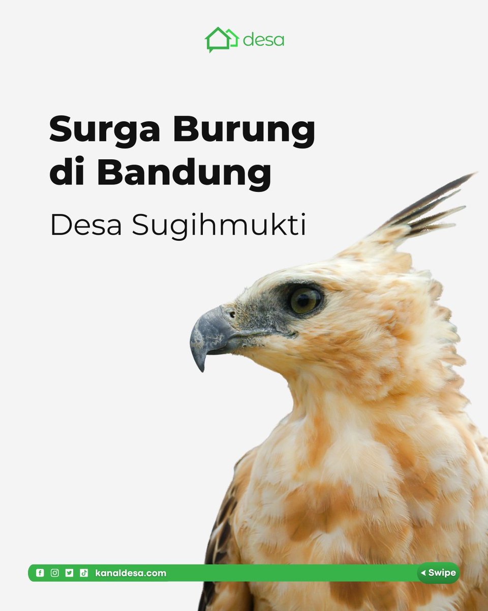 Desa Sugihmukti, Pasirjambu, Kabupaten Bandung, memiliki lanskap alam yang lestari. BUMDes Sugema mengembangkan wisata desa berbasis lingkungan. Pengamatan burung menjadi atraksi utama.