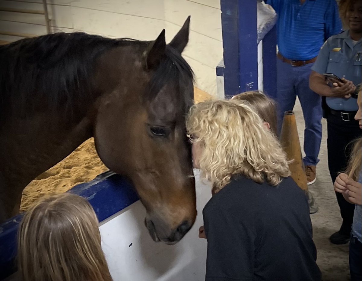 As part of our tradition, our mounts are named after fallen officers. We proudly introduce “French”, a 6-year-old thoroughbred named in honor of Ella French who was killed in the line of duty 7-August-2021. We will never forget! #neverforget #Love