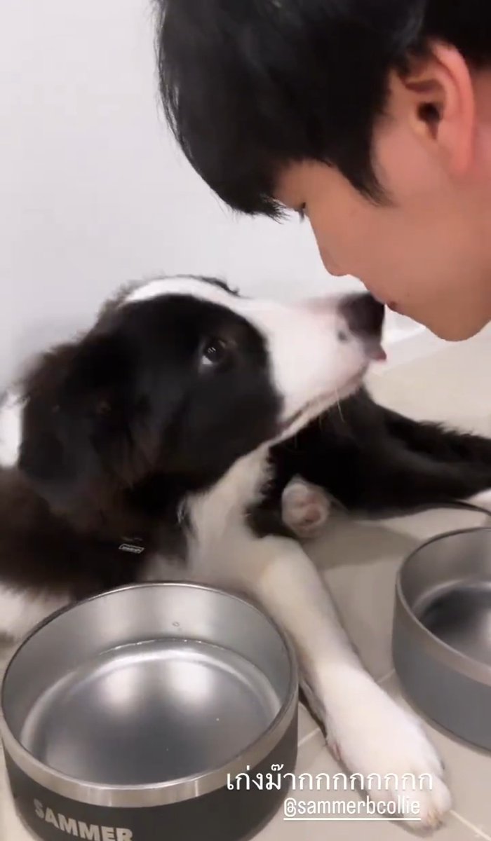 justmybabyboo's tweet photo. พ่อกับลูก                           เจ้านายกับทาส https://t.co/OzL9up5uBv