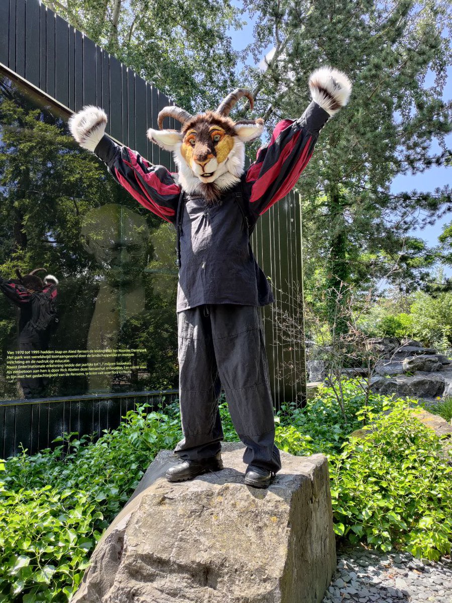 leeuwlion's tweet photo. Julius being a goat, and being ontop of a rock. Photo was made by Marlinde during Fable and Fantasies in Emmen.
#FursuitFriday https://t.co/vx8CQAJMta