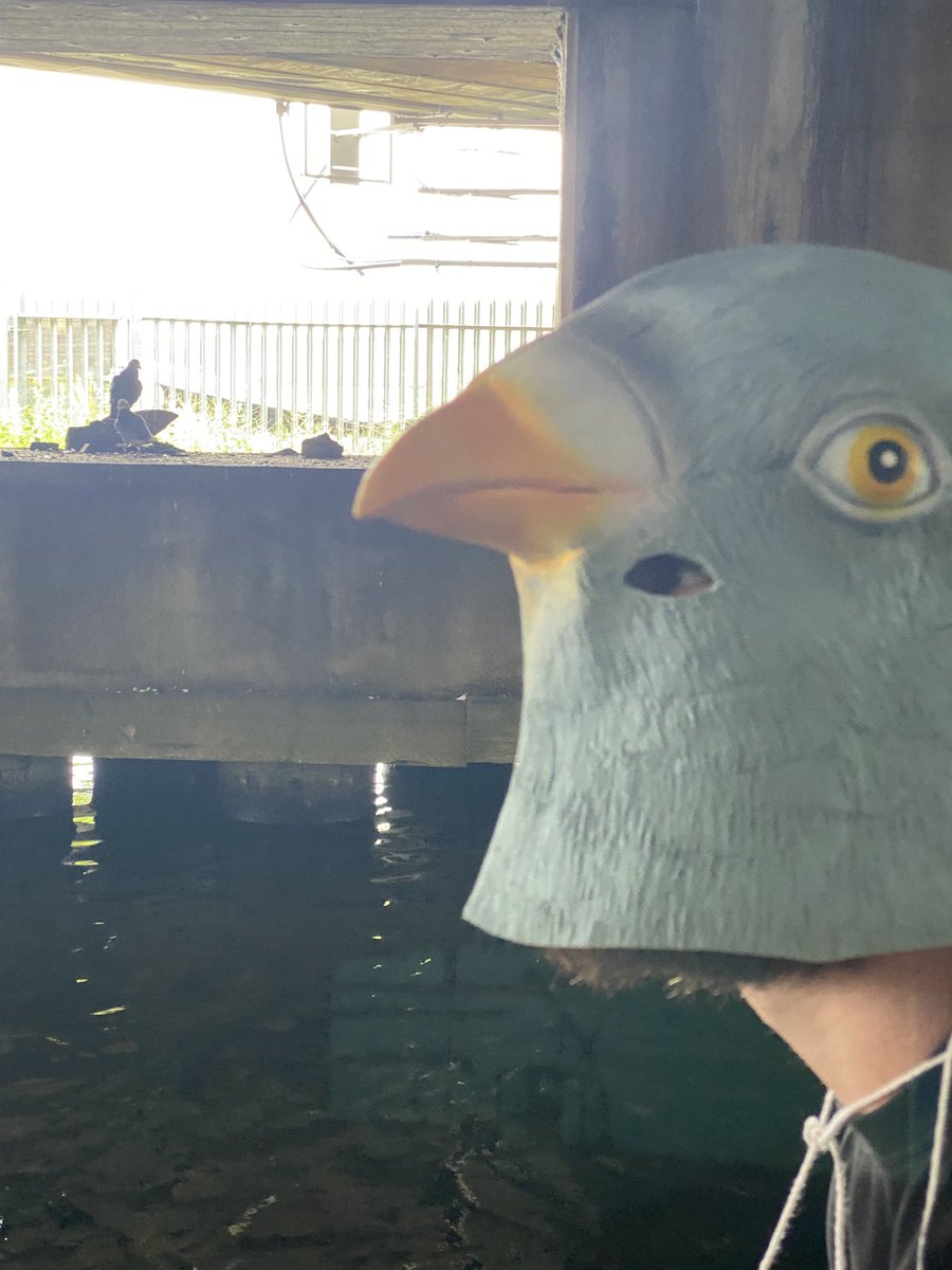 Ken Miller tweet media