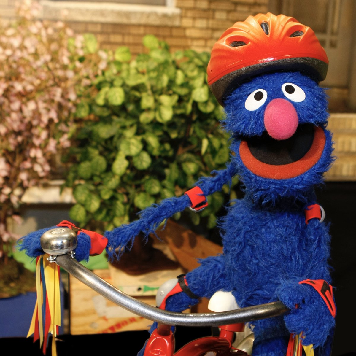 sesamestreet's tweet photo. Gearing up for a fantastic week ahead! Just don't forget your helmet. 🚲#MondayMotivation https://t.co/RPsSK3jlZ1