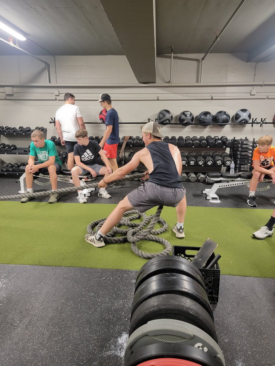 Tiger Power N Speed tweet media