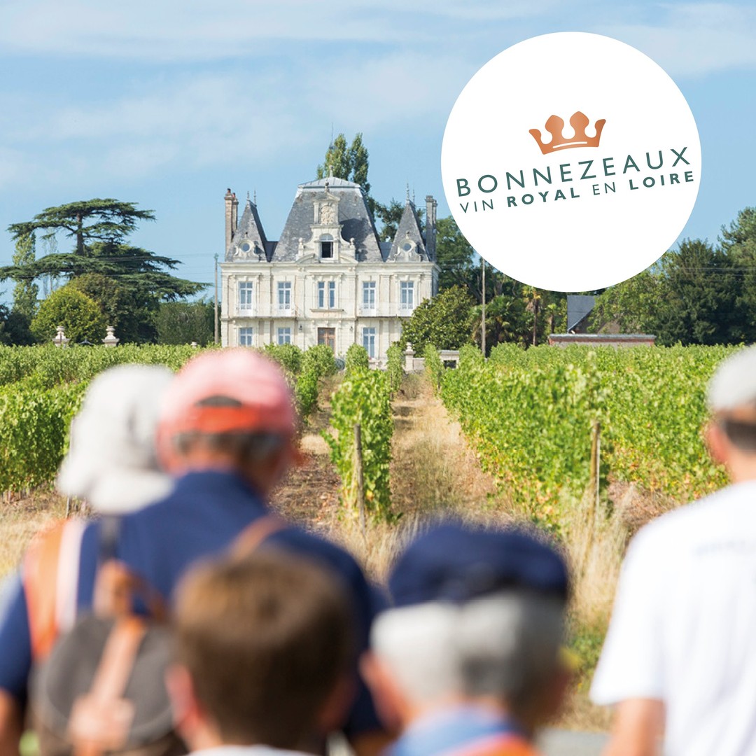 vvrvaldeloire's tweet photo. #VVR23 Les 2 & 3 septembre prochains, venez vivre la 20e édition de VVR ! 🍷☀
Dans le Maine-et-Loire, ce sont 4 appellations qui vous ouvrent leurs vignes🍇: #AnjouBrissac #LoireAubance #Bonnezeaux, @Saumur_Champ et #SaumurFinesBulles
✅ https://t.co/V4mJzLBrlO https://t.co/Xt5MfFEAkz