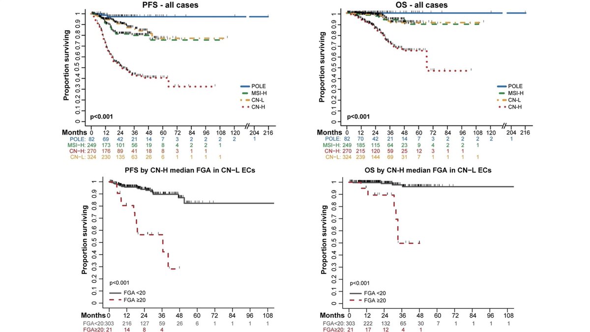 RiosDoriaMD's tweet photo. After characterizing the #MolecularClassification within #EndometrialCancer at @MSKCancerCenter, we next sought to understand clinical outcomes

SURVIVAL CURVES
Key inclusion for our survival analysis included patients who underwent upfront surgical staging with @TeamEndo_MSK & had MSK-IMPACT performed prior to documented a recurrence. This left us with 925 patients for survival analysis.

Our survival plots below are consistent with existing literature, including TCGA. Multivariate analysis identified patients w/ the following to have worse PFS outcomes:
- MSI-H molecular subtype
- CN-H molecular subtype
- Age ≥ 60 years/diagnosis
- FIGO stages III/IV
- Non-endometrioid histology

A DEEPER LOOK AT STAGE
We also stratified the data and looked at outcomes by subtypes for only Stage I/II (all histologies), Stage III/IV (all histologies), and Stage I/II endometrioid only (not pictured below). Each cohort had statistically significant differences in survival with varying degrees of outcomes for each subtype.

A DEEPER LOOK AT CN-H
We know the CN-H subtype portends the worse prognosis and noted the Fraction of Genome Altered (FGA) of CN-H #carcinosarcoma endometrial carcinoma (EC) was highest (median 34.5) compared to CN-H serous EC (median 22.3), and CN-H endometrioid (median 12.9).

Despite this statistical finding, there was no difference between these three paired subtype-histologies on survival analysis.

WHAT ABOUT MSI-H & CN-L WITH HIGH FGA?
After observing that the majority but not all CN-H ECs (92%) in the original TCGA study had TP53 mutations, we sought to understand if FGA may be additive to molecular classification by assessing patient outcomes.

Using our cohort's CN-H median FGA, we determined the patient survival outcomes for MSI-H & CN-L ECs by assessing those below, at or above the median. We see these subtypes with previously intermediate outcomes become worse with higher FGA.

Will wrap up this series later today as #UterineCancerAwarenessMonth comes to a close!

@IGCSociety @IJGConline @IJGCfellows @ENYGO_official @ESGO_society @MSKLibrary @UWashOBGYN @SwisherLiz @BillzamMD @RyanKahnMD1 @tsialater @GreggNelsonERAS @gyncsm @OncoAlert @WAGO_org @GynOncJnls @LatinxOncology #gyncancer #gyncsm