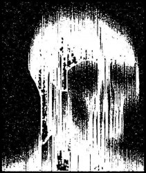 Seismic Vahnderhaar tweet media