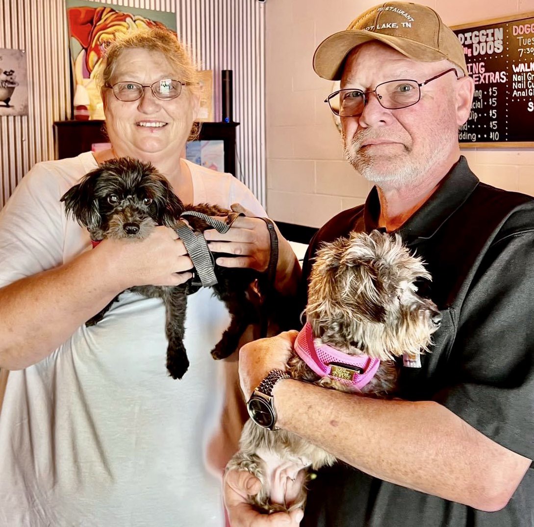 ForeverDreamSDS's tweet photo. Buster and Emma left the beginning of the week off on an adventure. Look how happy they are with their new forever family.❤️ https://t.co/YxmAELcHbw