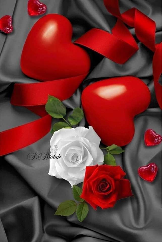 وما أدراك أني لا أحن؟
    وأني من لظى شوقي أُجن
وأني ليس يضنيني حنيني
   وطيفك في خيالي لا يفل
تمنيت اللقاء وكان ظني
   بأن تأتي الحياة بما أظن
فخانتني الحياة وتاه دربي
  وظل القلب في صدري يئن
              جراحي ثاويات في الحنايا
   و أيـــامي .. بـأحلامي تضن
🌿💞🌿♥️