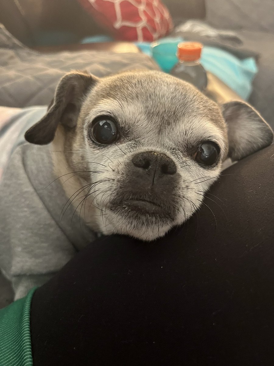 Dr. Tara E. Sutton (she/her) tweet media