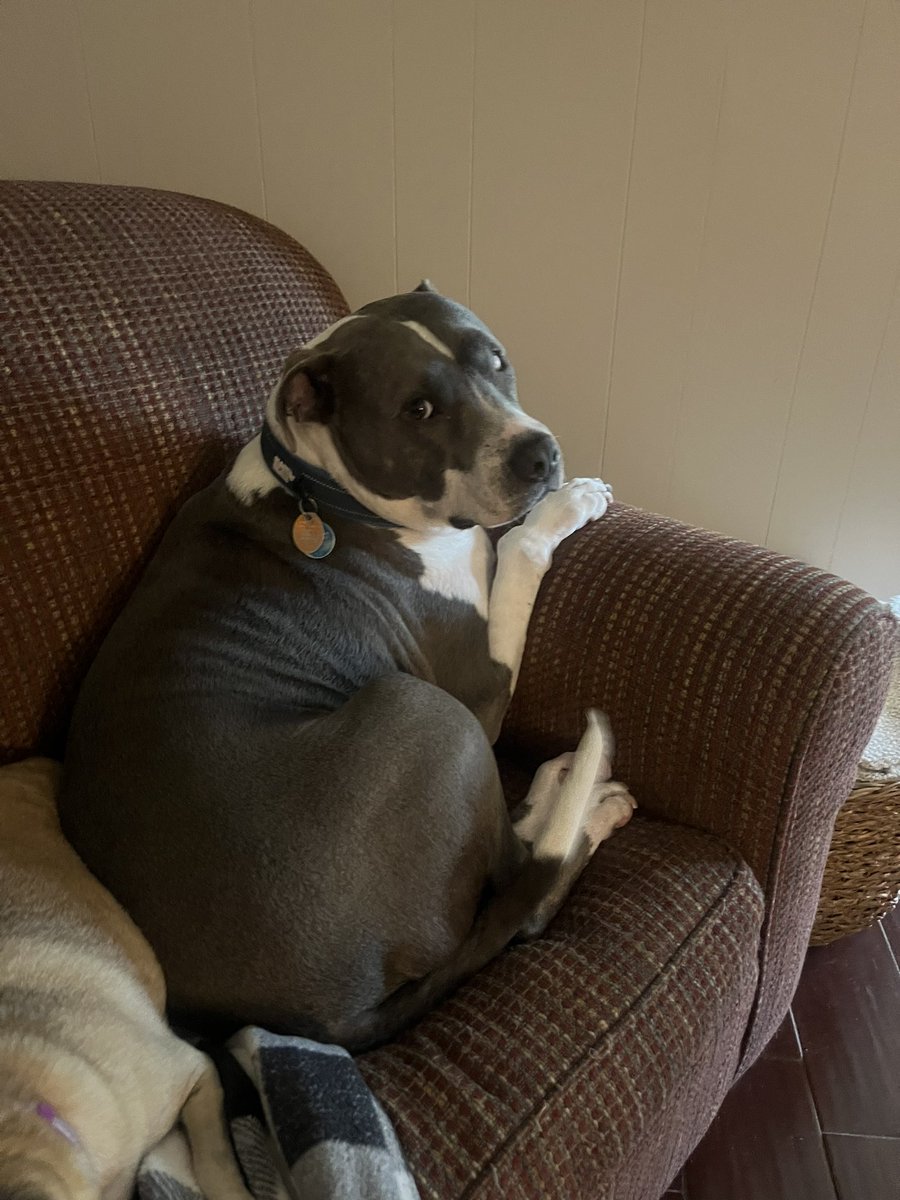 Dr. Tara E. Sutton (she/her) tweet media