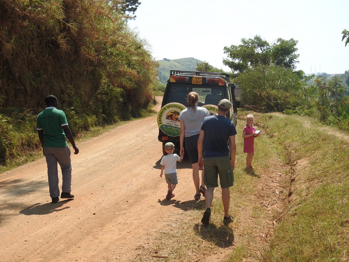 We are always excited to handle family tours. 
Come with your children to explore the beauty of Uganda. 
For your inquiries and bookings👇👇
info@expeditewildlifetours.com
WhatsApp: +256788649334
expeditewildlifetours.com

#wildlifeplanet #travel #safaris #visituganda #bbcafrica